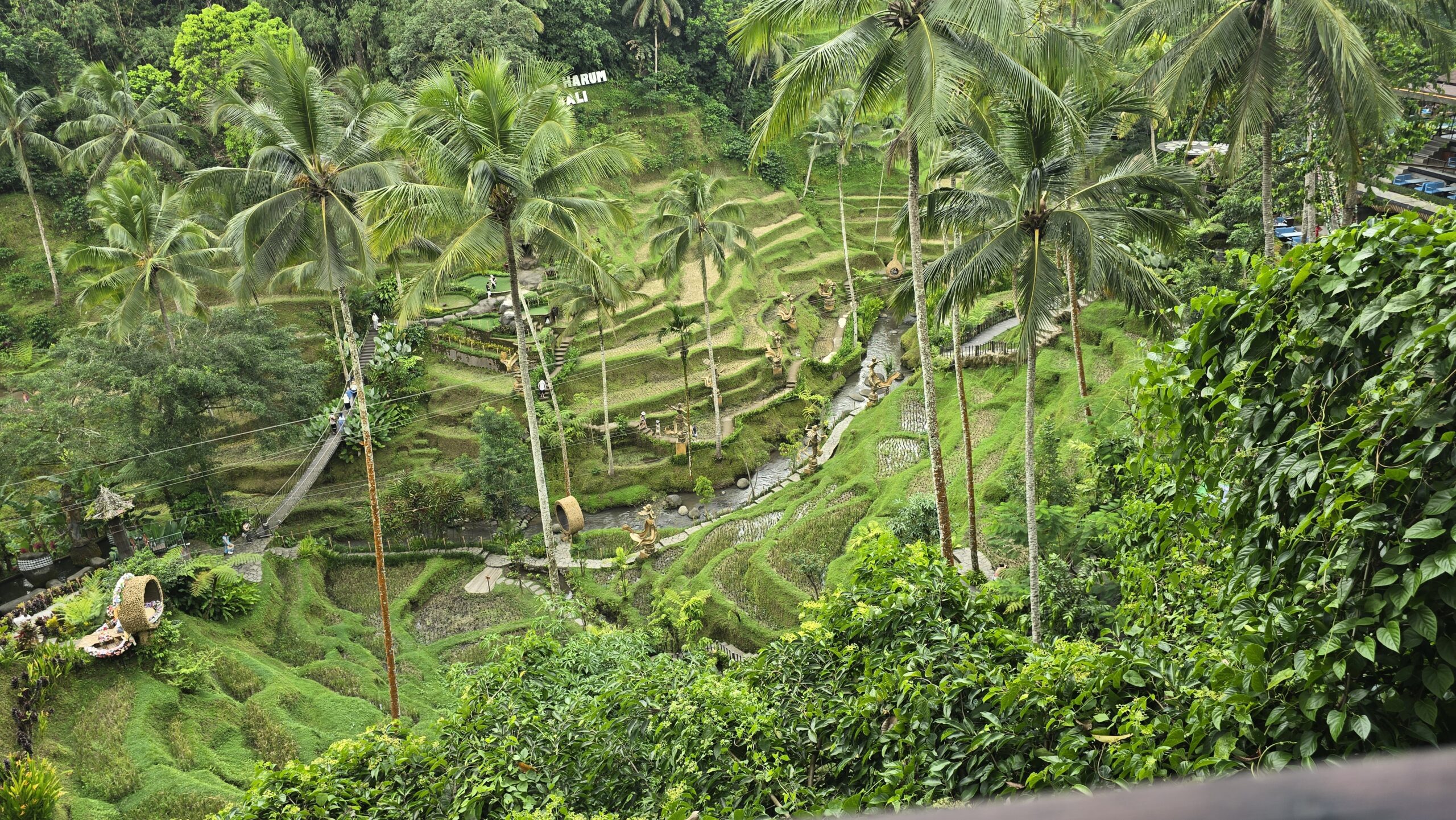 Bali Ubud Rice Terrace